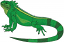 C1: Green&#13;&#10;C2: Med. Green&#13;&#10;C3: Lt. Green&#13;&#10;C4: Black&#13;&#10;C5: Dk. Green