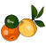 C1: Lime & Leaves---Moss Green(Isacord 40 #1176)&#13;&#10;C2: Shading---Evergreen(Isacord 40 #1208)&#13;&#10;C3: Lemon---Yellow Bird(Isacord 40 #1124)&#13;&#10;C4: Shading---Autumn Leaf(Isacord 40 #1126)&#13;&#10;C5: Orange---Pumpkin(Isacord 40 #1168)&#13