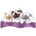 C1: Purple&#13;&#10;C2: Gray&#13;&#10;C3: Tan&#13;&#10;C4: Brown&#13;&#10;C5: White&#13;&#10;C6: Green&#13;&#10;C7: Mauve&#13;&#10;C8: Black