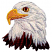 C1: Body Feathers Dark---Chocolate(Isacord 40 #1059)&#13;&#10;C2: Body Feathers Highlight---Rust(Isacord 40 #1058)&#13;&#10;C3: Beak & Eye Dark---Candlelight(Isacord 40 #1137)&#13;&#10;C4: Head Feathers Fill---Muslin(Isacord 40 #1082)&#13;&#10;C5: Head Fe