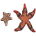 C1: Sand Dollars---Twine(Isacord 40 #1017)&#13;&#10;C2: Sand Dollars Background---Oat(Isacord 40 #1127)&#13;&#10;C3: Sand Dollar Outline---Steel(Isacord 40 #1166)&#13;&#10;C4: Starfish Tips---Tangerine(Isacord 40 #1078)&#13;&#10;C5: Starfish---Fox Fire(Is
