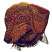 C1: Underlay---Palomino(Isacord 40 #1070)&#13;&#10;C2: Highlight---Redwood(Isacord 40 #1057)&#13;&#10;C3: Dog---Rust(Isacord 40 #1058)&#13;&#10;C4: Shadow---Pine Bark(Isacord 40 #1170)&#13;&#10;C5: Black---Black(Isacord 40 #1234)&#13;&#10;C6: Eyes---White