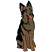 C1: Teeth---White(Isacord 40 #1002)&#13;&#10;C2: Tongue & Inside Ear---Blossom(Isacord 40 #1257)&#13;&#10;C3: Legs & Inside Ears---Rust(Isacord 40 #1058)&#13;&#10;C4: Fur on Front---Pine Bark(Isacord 40 #1170)&#13;&#10;C5: Mouth & Nose---Whale(Isacord 40