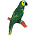 C1: Branch---Nutmeg(Isacord 40 #1056)&#13;&#10;C2: Shading---Rust(Isacord 40 #1058)&#13;&#10;C3: Claw---Baguette(Isacord 40 #1229)&#13;&#10;C4: Parrot---Swiss Ivy(Isacord 40 #1079)&#13;&#10;C5: Coloration---Limedrop - neon(Isacord 40 #1510)&#13;&#10;C6: F