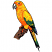 C1: Tree---Pine Bark(Isacord 40 #1170)&#13;&#10;C2: Beak & Eye---White(Isacord 40 #1002)&#13;&#10;C3: Bird---Citrus(Isacord 40 #1187)&#13;&#10;C4: Accent---Apricot(Isacord 40 #1238)&#13;&#10;C5: Accent---Red Pepper(Isacord 40 #1078)&#13;&#10;C6: Accent---