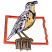 C1: State---Clay(Isacord 40 #1021)&#13;&#10;C2: Back, Wings, Tail, & Neck---Cream(Isacord 40 #1071)&#13;&#10;C3: Breast, Throat, & Face---Lemon(Isacord 40 #1167)&#13;&#10;C4: Post & Spots on Wing & Back---Fawn(Isacord 40 #1128)&#13;&#10;C5: Post Shading--