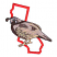C1: State---Red Berry(Isacord 40 #1246)&#13;&#10;C2: Body---Ivory(Isacord 40 #1149)&#13;&#10;C3: Shoulders, Wings, Spots, & Crest---Espresso(Isacord 40 #1214)&#13;&#10;C4: Beak---Skylight(Isacord 40 #1011)&#13;&#10;C5: Spots & Legs---Parchment(Isacord 40