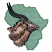 C1: Africa Shape & Border---Pear(Isacord 40 #1049)&#13;&#10;C2: Nyala---Cornsilk(Isacord 40 #1055)&#13;&#10;C3: Shading---Sisal(Isacord 40 #1055)&#13;&#10;C4: Shading---Bark(Isacord 40 #1186)&#13;&#10;C5: Shading---Dark Charcoal(Isacord 40 #1131)&#13;&#10
