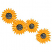 C1: Sunflowers---Goldenrod(Isacord 40 #1137)&#13;&#10;C2: Flower Center---Khaki(Isacord 40 #1179)&#13;&#10;C3: Flower Center Shading & Outline---Pine Bark(Isacord 40 #1170)