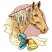 C1: Background---Teaberry(Isacord 40 #1213)&#13;&#10;C2: Fur---Cornsilk(Isacord 40 #1055)&#13;&#10;C3: Fur Shading---Sisal(Isacord 40 #1055)&#13;&#10;C4: Mane---Lemon Frost(Isacord 40 #1022)&#13;&#10;C5: Mane Shading---Old Gold(Isacord 40 #1055)&#13;&#10;