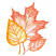 C1: Small Leaf Shading---Pink Clay(Isacord 40 #1019)&#13;&#10;C2: Small Leaf Dark Shading---Melon(Isacord 40 #1259)&#13;&#10;C3: Small Leaf Outlines---Salmon(Isacord 40 #1259)&#13;&#10;C4: Large Leaf Dark Shading---Old Gold(Isacord 40 #1055)&#13;&#10;C5: