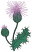 C1: Green&#13;&#10;C2: Dk. Green&#13;&#10;C3: Purple