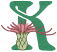 C1: Green&#13;&#10;C2: Lt. Pink&#13;&#10;C3: Dk. Pink&#13;&#10;C4: Green&#13;&#10;C5: Dk. Green