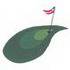 Green & Flag