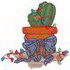 Christmas Cactus