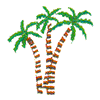 PALM TREES