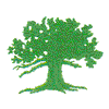 TREE #465
