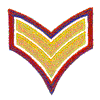 DOUBLE CHEVRON