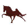 ANDALUSIAN HORSE