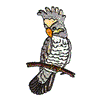 COCKATIEL