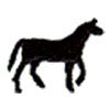 STANDING HORSE