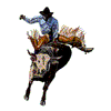 BULLRIDER