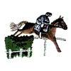 EQUESTRIAN OBSTACLES