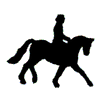 ANDALUSIAN SHOW HORSE