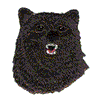 GRIZZLY BEAR HEAD