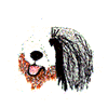 SHEEP DOG HEAD