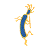 KOKOPELLI