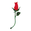 LONG STEM ROSE