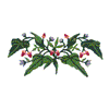 FLOWER VINE