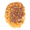 LION HEAD