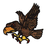 HAWK