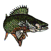 WALLEYE FISH