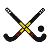 ICE HOCKEY STICKS