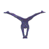 GYMNAST