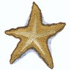 STARFISH