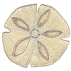 SEASHELL