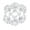 FLORAL OUTLINE