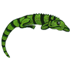 IGUANA POCKET TOPPER