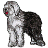OLD ENGLISH SHEEP DOG