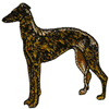 GREYHOUND