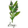 SAGE