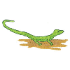 LIZZARD