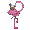 FLAMINGO DRINKING