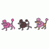 THREE SMALL POODLES