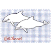 BOTTLENOSE DOLPHINS