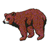 BROWN BEAR